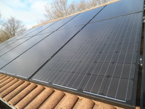 14 x Phonosolar 250W solar panels