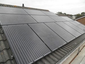 14 x Eco Future 250W solar panels