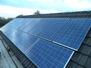 16 x Winaico solar panels