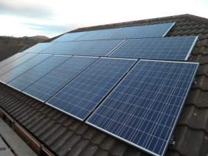14 x Winaico solar panels